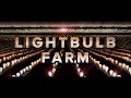 Lightbulb farmthe gotham group20th televisionparamount television studiosroku originals 2024