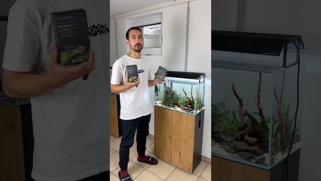 Unboxing the new Dennerle „Plant System Set“ 