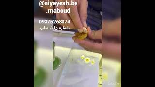 خرمهره .مهره مار .ناموس کفتار.دعا و طلسم