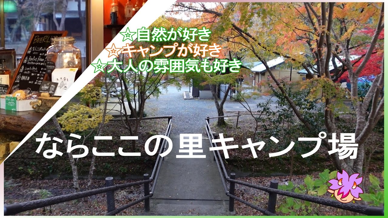 【ソロキャンプ】【静岡県】【ならここの里キャンプ場】Xmasシーズンにキャンプをしたことが無かったので、紅葉も楽しめるキャンプ場に行ってきました！広く綺麗なキャンプ場でリピート確定です！