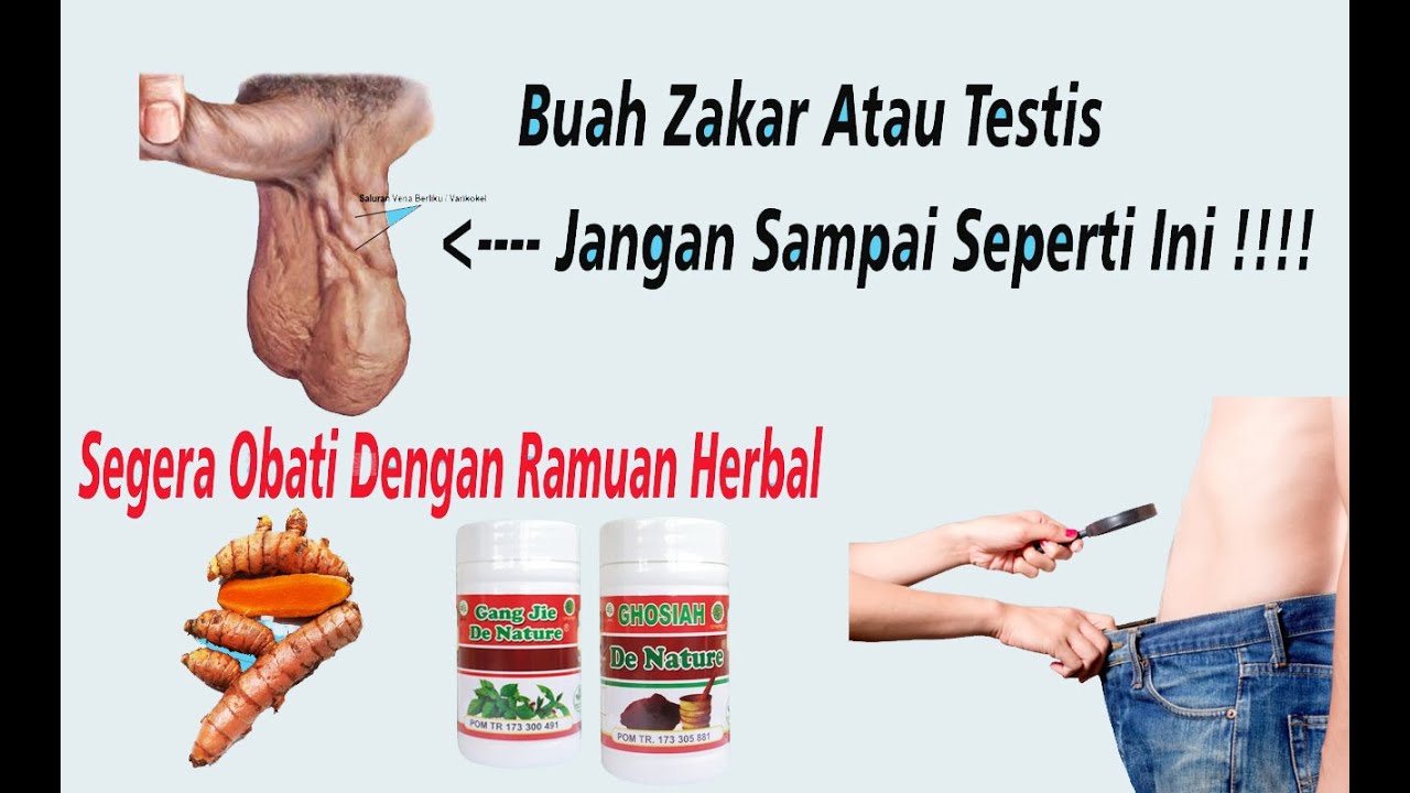 Cara sembuhkan buah zakar membengkak dengan ramuan herbal