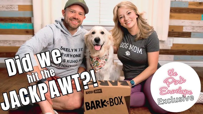 Dog Boredom - Bullymake Box - A Dog Subscription Box For Power