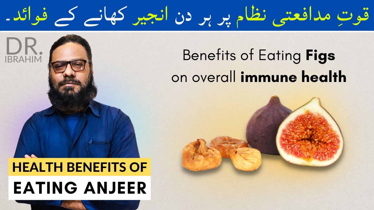 Anjeer/Injeer Ke Faide/Fayde Benefits Of Eating Figs On Immune Health in Urdu/Hindi Dr