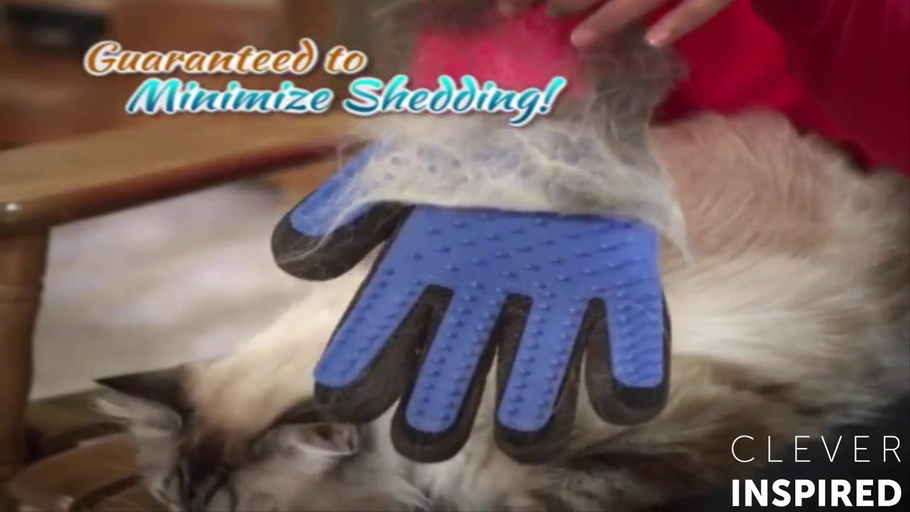 glove brush for cats