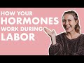 Your BODY KNOWS How to GIVE BIRTH | HORMONES During Labor