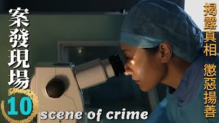 Scene of Crime Ep10 Wang Zhifei & Yan Shikui decrypt a shocking case together!Who's the real culprit