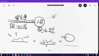 1100517X自二5-3肥皂