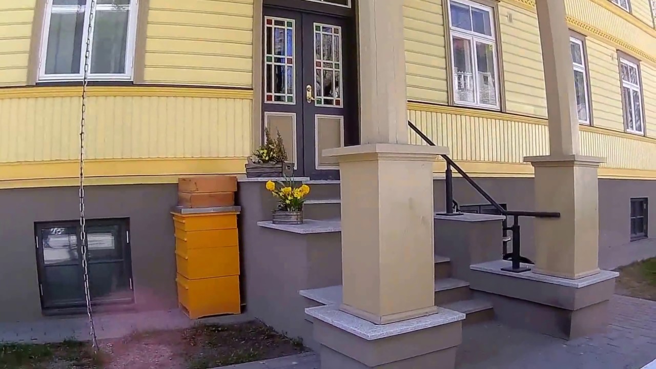 Entering Toompuiestee apartment rental and waste bins location - YouTube