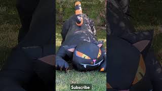Animated Cat Halloween Inflatable #halloweeninflatables #blackcat #inflatable #gemmy  #animated
