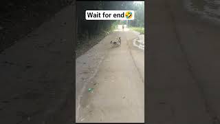 Agar dosti jada strong hogayi ho too dekhlo result 🤣 #animals #comedy #youtubeshorts #aryankelvin