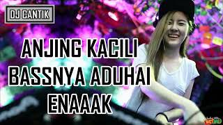 Dj anjing kacili terbaru 2018