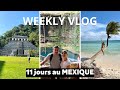 Weekly vlog  11 jours au mexique en novembre