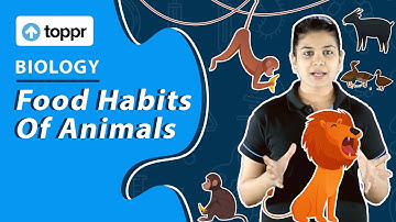 Food Habits of Animals | Food | Class 6 Science Biology
