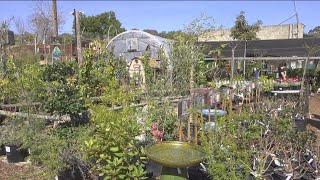 City Heights nursery gaining national recognition