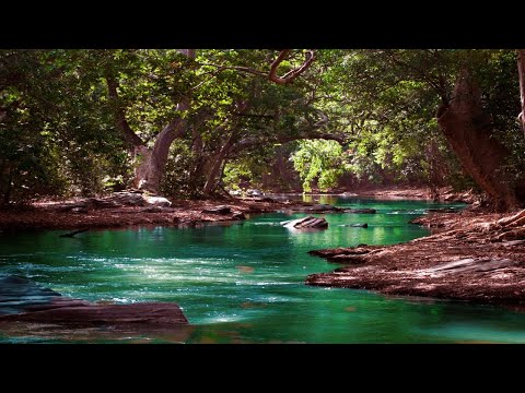 Video: Bo'ronli Suvni Boshqaradigan Tom: ZinCo-dan Yangi Tizim