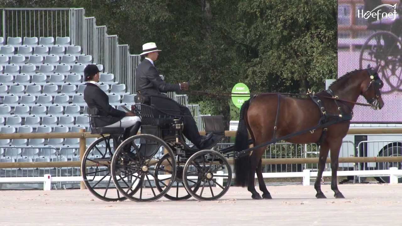 Martin Hölle Dressage Pau 2013