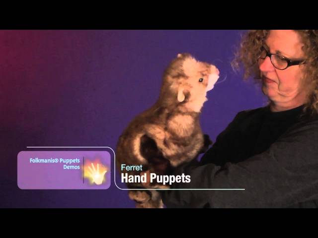 Ferret Hand Puppet Demo 2843