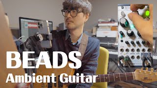 Celebrity Ambient Guitar with Beads Mutable Instruments (Grain Delay, Whammy…) Net Worth
