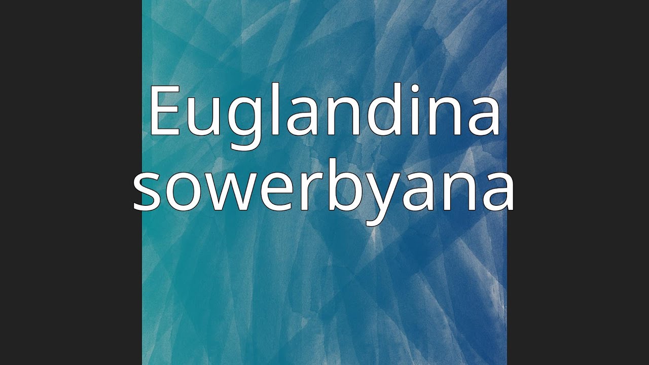 Euglandina sowerbyana