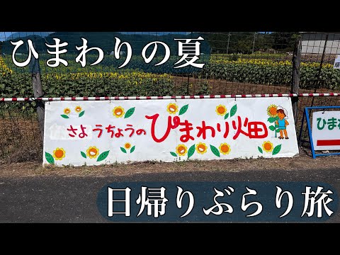 【佐用町】日帰りぶらり旅〜南光ひまわり畑 東徳久【暑さ爆発】:Day Trip Adventure: Japan Edition
