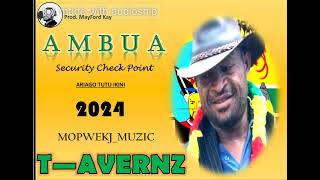 AMBUA Security Check Point (T-AVERNZ) Prod. MayFord Kay 2024