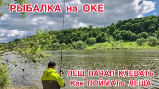 РЫБАЛКА НА ОКЕ на ФИДЕР / ЛЕЩ ПОШЁЛ / КАК ПОЙМАТЬ ЛЕЩА в МАЕ