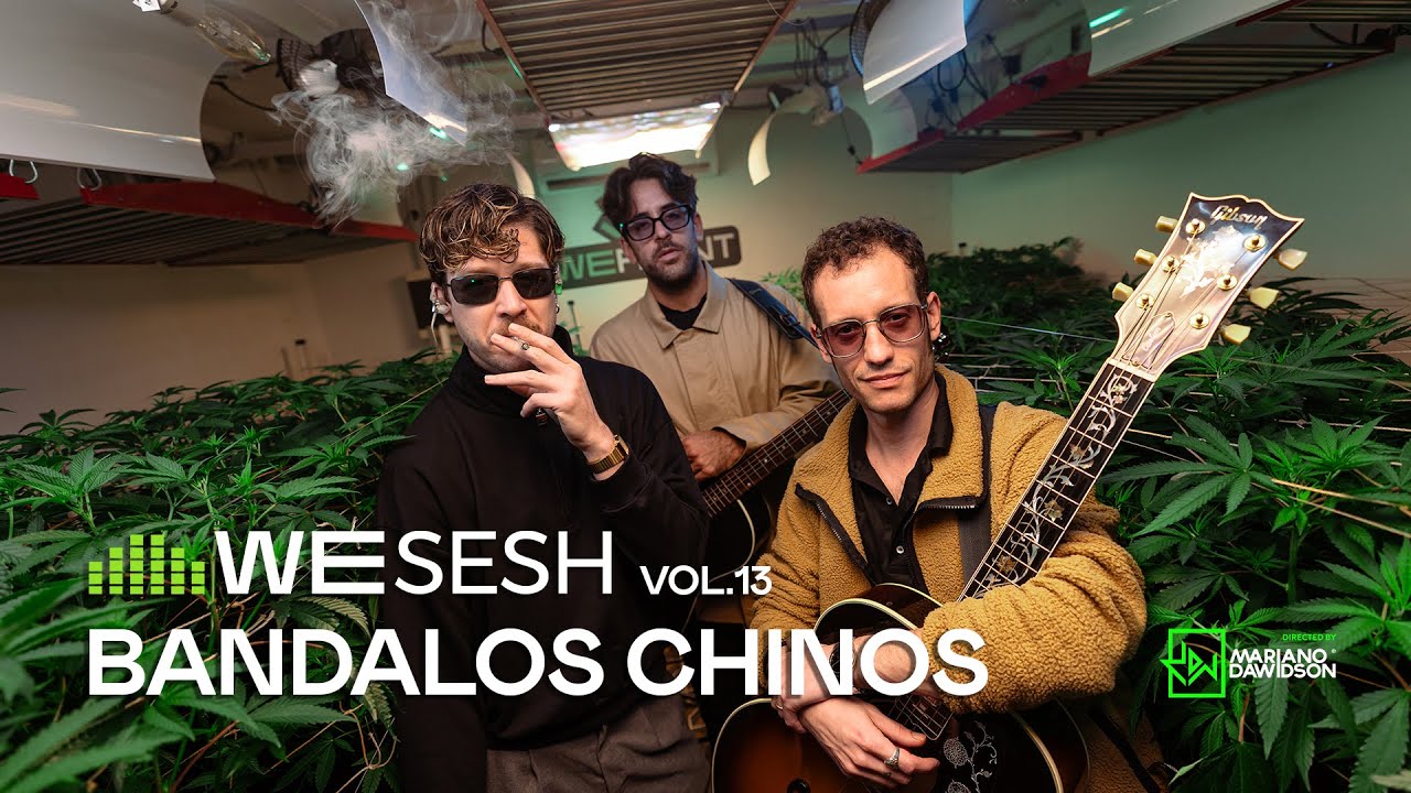Bandalos Chinos en WESESH #13 | Sesión en vivo entre plantas en WEPLANT 🌿