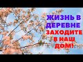 С чувством с толком с расстановкой. Как обещала ВСЕ ПОКАЗЫВАЮ. Купили МАШИНУ ЗЕМЛИ