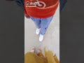 Song