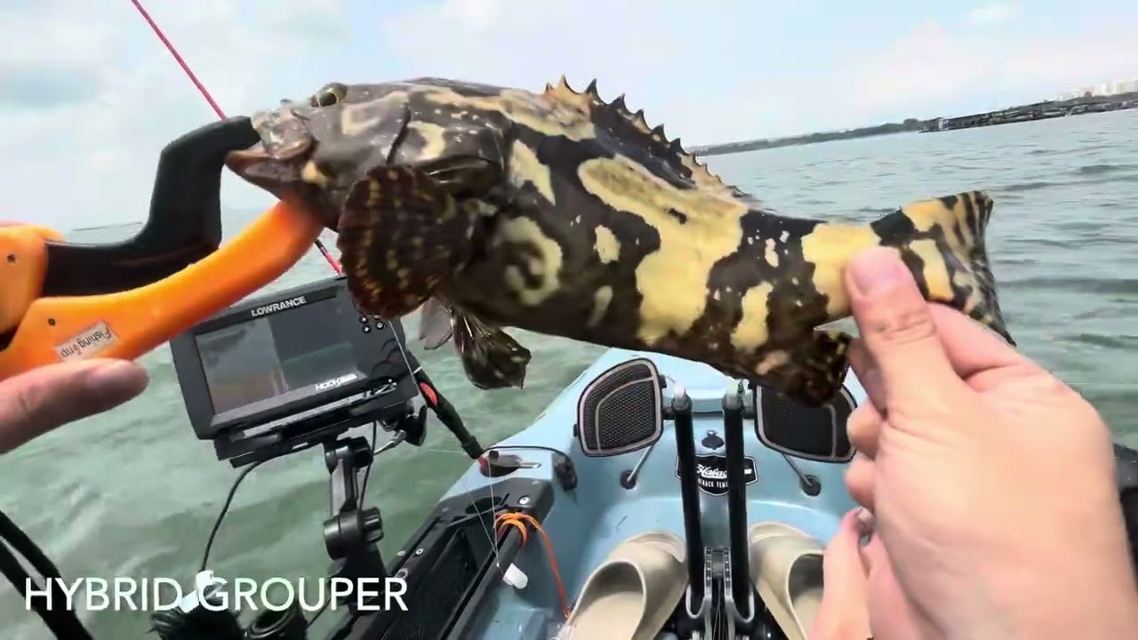 S1V02 - Pasir Ris Kayak Fishing Chronicles