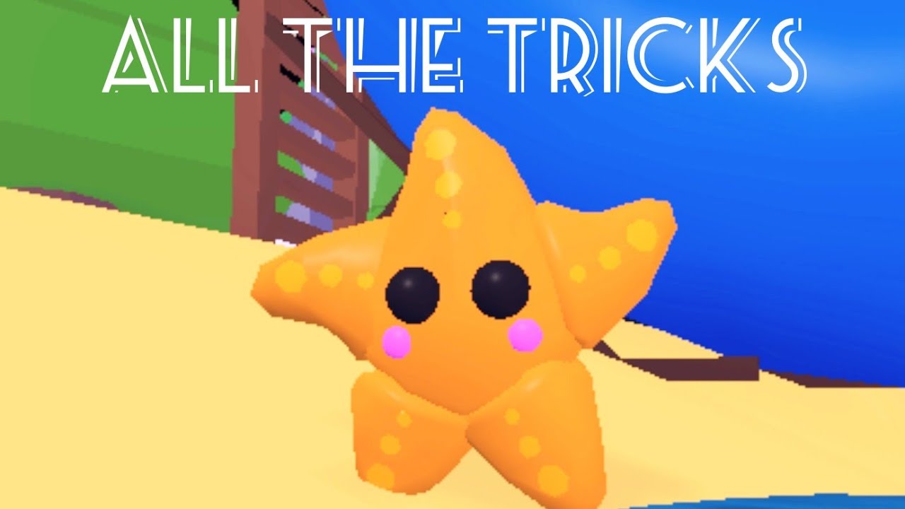 How To Get The FREE STAR FISH Pet In Adopt Me Roblox (Coming Soon!) 