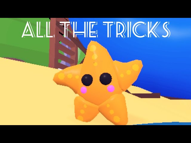 Pet  StarFish Adopt Me - Game Items - Gameflip