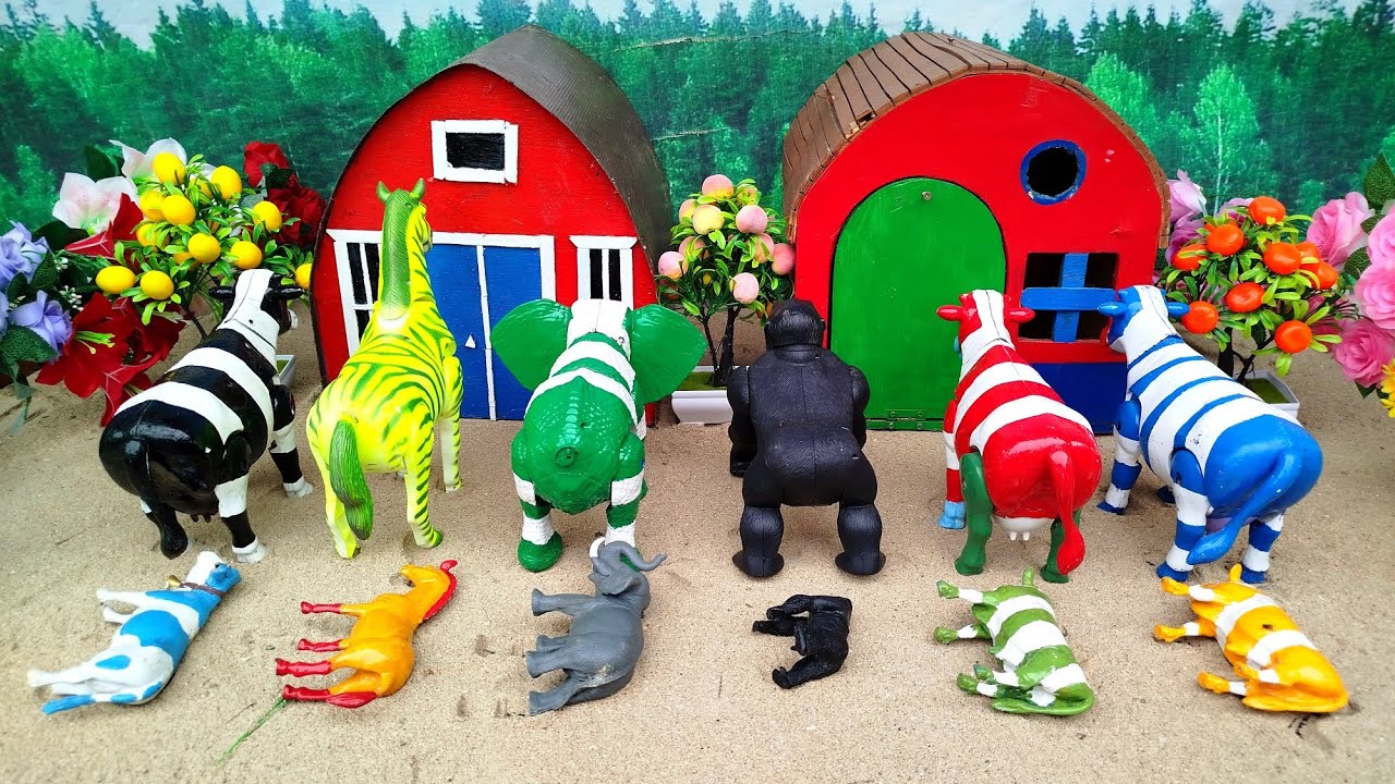 Wadidau‼️Abc Phonics Songs For Preschoolers Animals Proses Potong Sapi Kurban & Kerbau Lucu