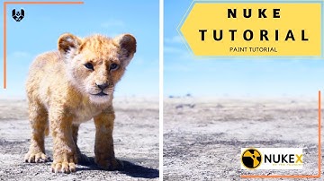 Nuke paint tutorial | Object removal | Prep out
