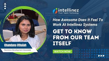 Happy at Work | Our Employee Experiences Revealed in 2024 | Intellinez Systems