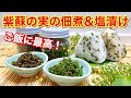紫蘇の実（大葉の実）の佃煮＆塩漬けの作り方♪ご飯お代わり間違いなし！使い方色々！保存可能！