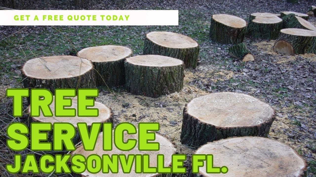 Tree Service Jacksonville Florida Stump Grinding and Stump Removal