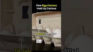 How Egg Cartons Survive Stacking 🤔