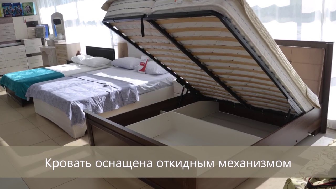Виста 13 олмеко