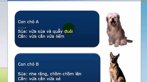 Lập Trình Java - Hướng đối tượng là gì - Bài 1