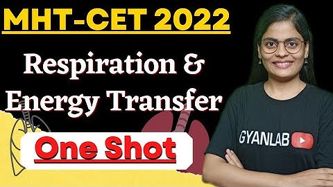 MHTCET 2022 | Respiration & Energy Transfer | One Shot Lecture | Biology | Gyanlab | Anjali Patel |
