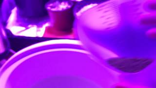 Making some cannabis coconut oil