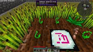 Holy guacamole these growth crystals are insane! direwolf20 and i
finally reunite start a brand new skyblock series on none other than
forgecraft! if you...