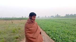 Kabhi Khushi Kabhie Gham | Full Movie | Shah Rukh Khan, Kajol, Hrithik | K3G | Karan Johar Film