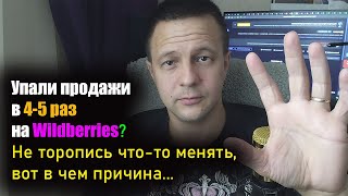 Почему упали продажи на Wildberries / товарный бизнес на Маркетплейсах