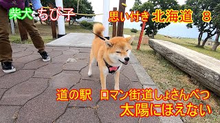 【柴犬】ちび子　北海道８　道の駅　ロマン街道しょさんべつ　太陽にほえない！