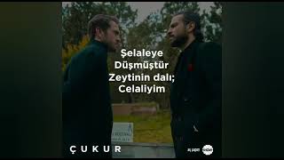 Çukur celali şiiri - Cemal SÜREYYA - şelaleye düşmüştür zeytin dalı celaliyim celalisin celali Resimi