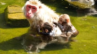 These two babies are not twins. the girl's the true child of this m...