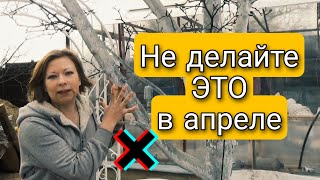 ЧЕГО НЕ НУЖНО ДЕЛАТЬ В АПРЕЛЕ В САДУ И ОГОРОДЕ | Светлана Самойлова