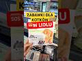 POLECACIE KTÓRĄŚ Z NICH? #ivoadventures #shorts #catshorts #cats #haul #catslover #catsofyoutube